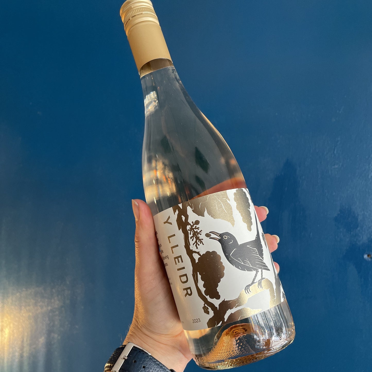 The Dell Vineyard, Y Lleidr (The Thief) 2023 Welsh Rose wine