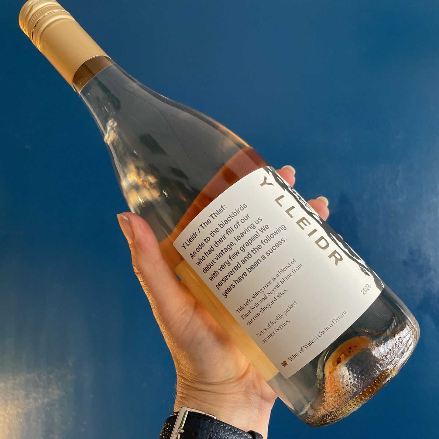 The Dell Vineyard, Y Lleidr (The Thief) 2023 Welsh Rose wine